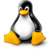 Linux KVM VPS Server
